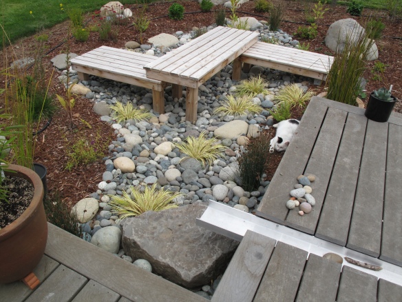 Rain Garden Project Pacific Northwest Specialty Plants
